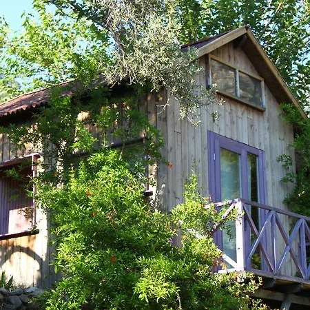 Sultan Camp אתר קמפינג *