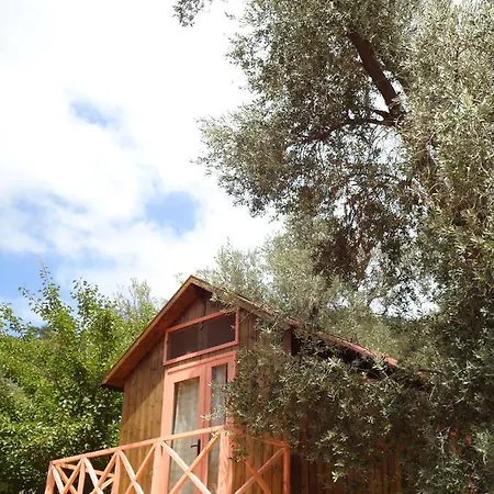 אתר קמפינג Sultan Camp *