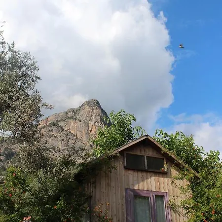 Sultan Camp * פאטהיה