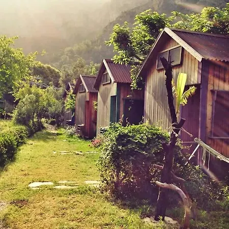 Kamp alanı Sultan Camp
