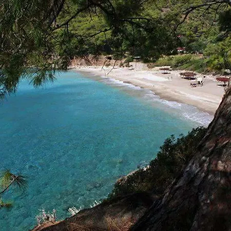 Sultan Camp Kamp alanı *