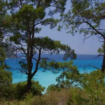 Sultan Camp Camping