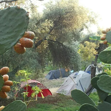 Sultan Camp Kamp alanı Fethiye